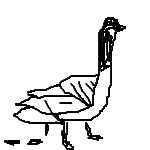 Goose