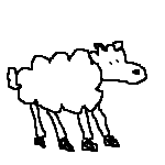sheep